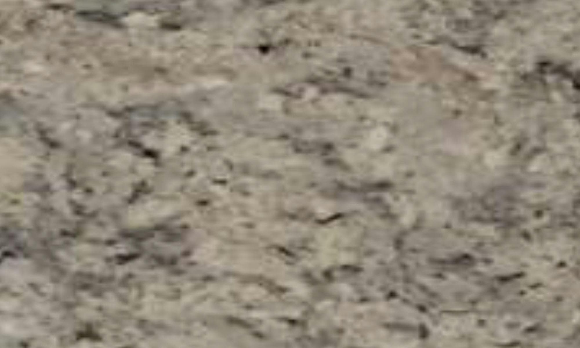 WIC