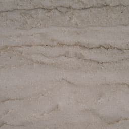 Sea Pearl