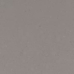 Fossil Gray